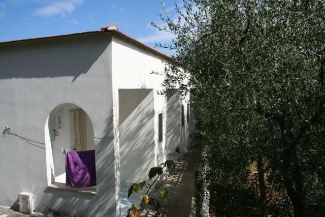 Casa Vacanze Pizzone Διαμέρισμα Peschici Εξωτερικό φωτογραφία